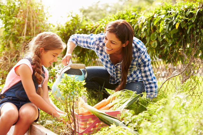 Mother And Daughter Working On Allotment Together